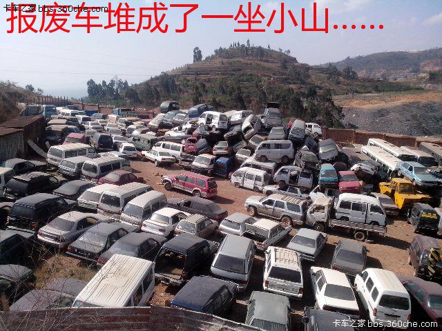 圖片欣賞