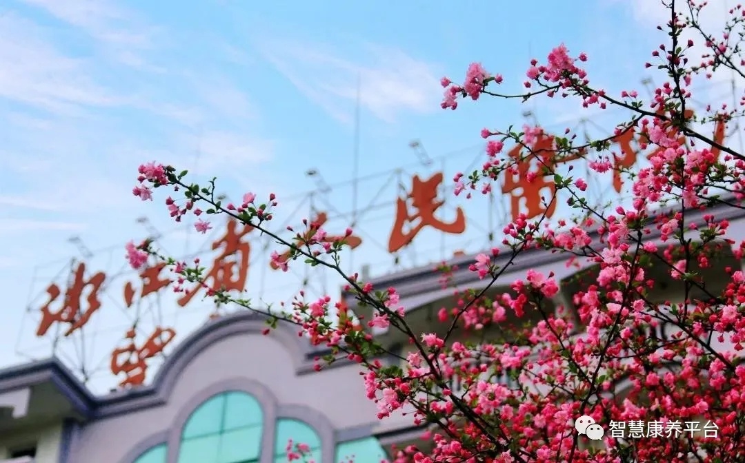 杭州康復養老之家是杭州康復醫院，杭州養老院，杭州公立康復中心，杭州醫養結合護理院信息一站式分享平臺。
