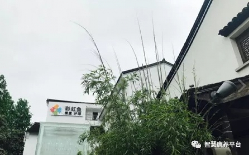 杭州彩虹魚康復護理院怎么樣？地址在哪里？收治哪些病人？