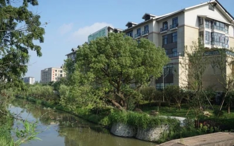 【杭州橡樹醫院】醫院介紹_掛號收費_住院預約電話